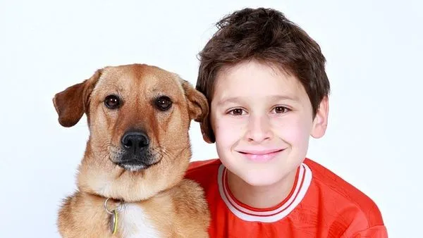 Smart Pet Water Fountain: 7 Features That Matter Most