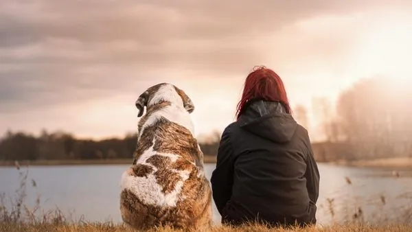Pet Skin Disease Care: Causes, Signs and Treatment - 配图2