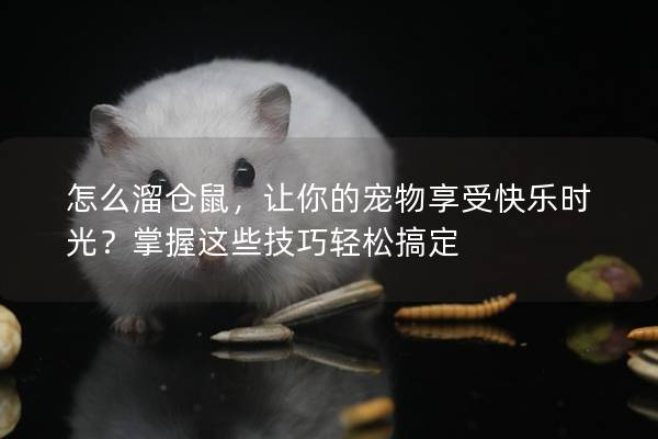 怎么溜仓鼠，让你的宠物享受快乐时光？掌握这些技巧轻松搞定