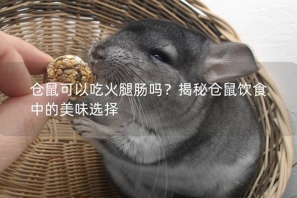 仓鼠可以吃火腿肠吗？揭秘仓鼠饮食中的美味选择