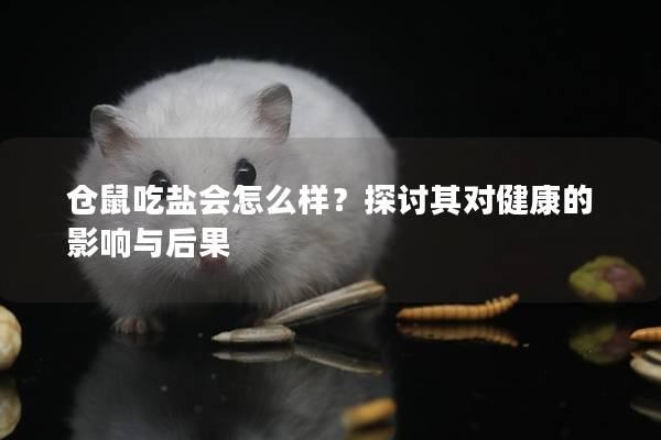 仓鼠吃盐会怎么样？探讨其对健康的影响与后果