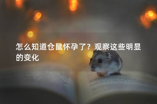 怎么知道仓鼠怀孕了？观察这些明显的变化