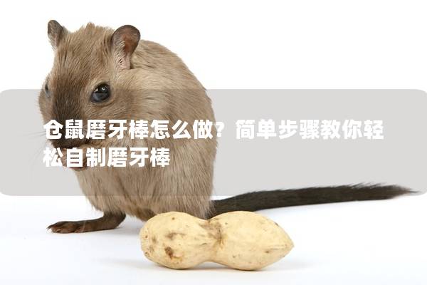 仓鼠磨牙棒怎么做？简单步骤教你轻松自制磨牙棒