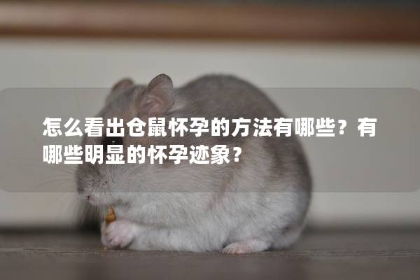 怎么看出仓鼠怀孕的方法有哪些？有哪些明显的怀孕迹象？