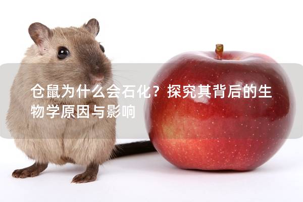 仓鼠为什么会石化？探究其背后的生物学原因与影响