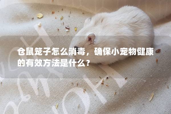 仓鼠笼子怎么消毒，确保小宠物健康的有效方法是什么？