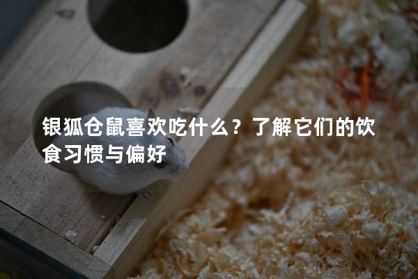 银狐仓鼠喜欢吃什么？了解它们的饮食习惯与偏好