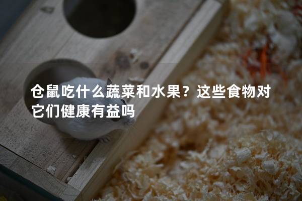 仓鼠吃什么蔬菜和水果？这些食物对它们健康有益吗