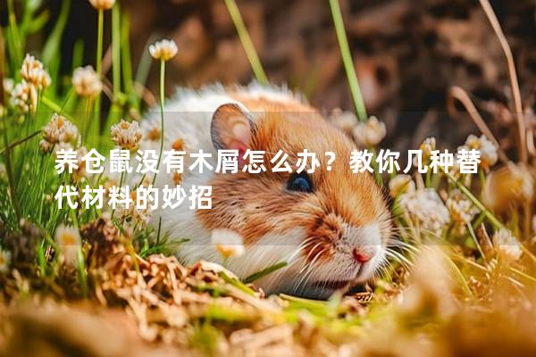 养仓鼠没有木屑怎么办？教你几种替代材料的妙招