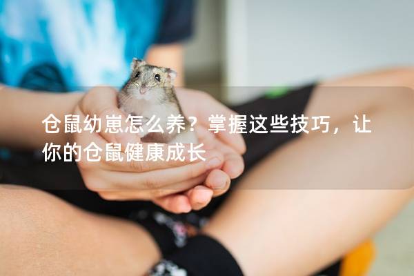 仓鼠幼崽怎么养？掌握这些技巧，让你的仓鼠健康成长