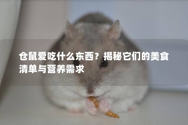 仓鼠爱吃什么东西？揭秘它们的美食清单与营养需求