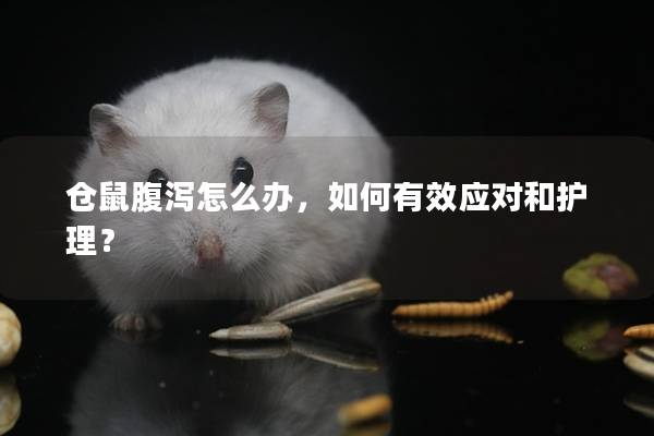 仓鼠腹泻怎么办，如何有效应对和护理？