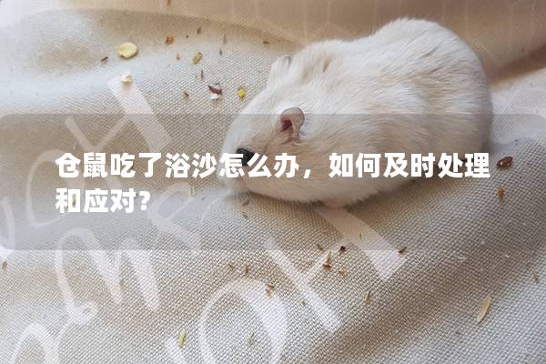 仓鼠吃了浴沙怎么办，如何及时处理和应对？