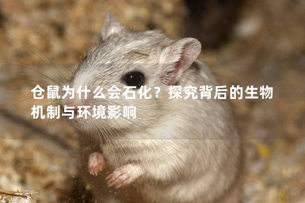 仓鼠为什么会石化？探究背后的生物机制与环境影响