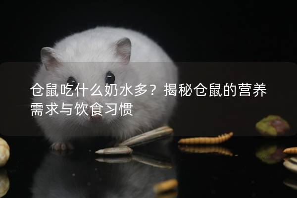 仓鼠吃什么奶水多？揭秘仓鼠的营养需求与饮食习惯