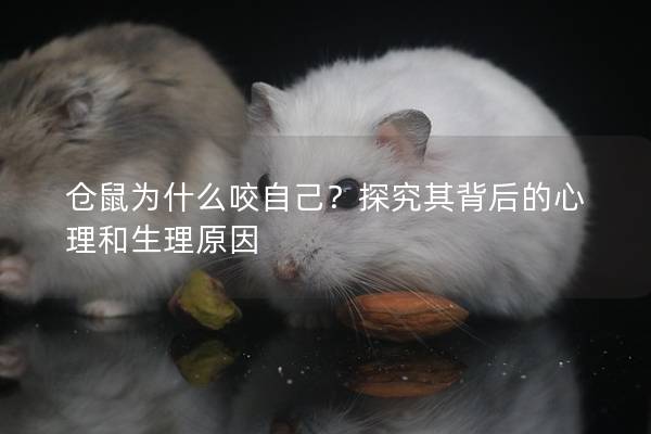 仓鼠为什么咬自己？探究其背后的心理和生理原因