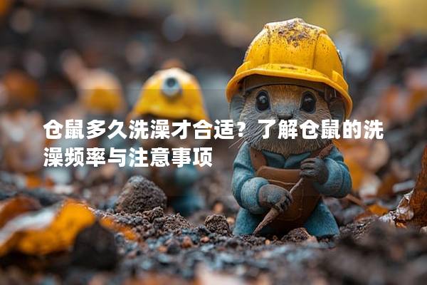 仓鼠多久洗澡才合适？了解仓鼠的洗澡频率与注意事项