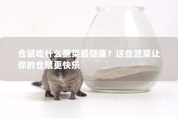 仓鼠吃什么蔬菜最健康？这些蔬菜让你的仓鼠更快乐