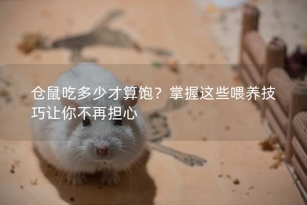 仓鼠吃多少才算饱？掌握这些喂养技巧让你不再担心