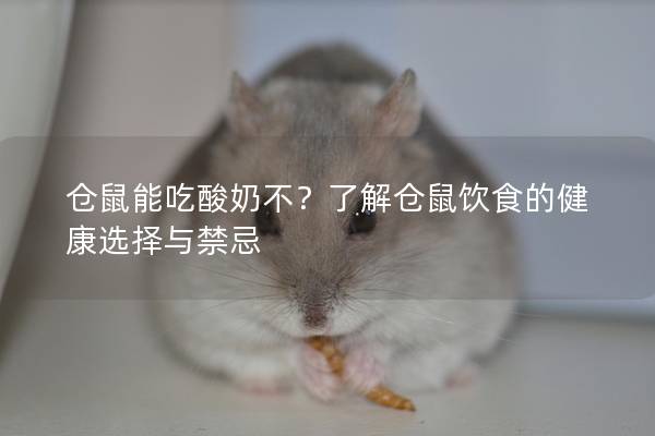 仓鼠能吃酸奶不？了解仓鼠饮食的健康选择与禁忌