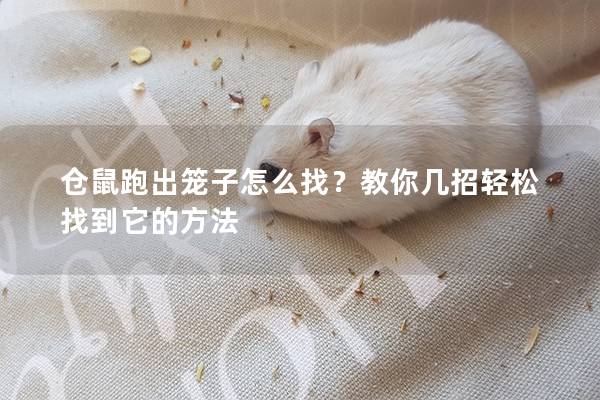 仓鼠跑出笼子怎么找？教你几招轻松找到它的方法