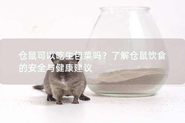 仓鼠可以吃生包菜吗？了解仓鼠饮食的安全与健康建议