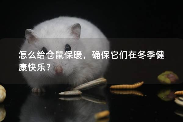 怎么给仓鼠保暖，确保它们在冬季健康快乐？