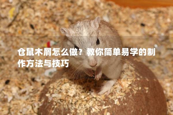 仓鼠木屑怎么做？教你简单易学的制作方法与技巧