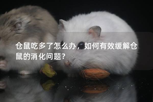 仓鼠吃多了怎么办，如何有效缓解仓鼠的消化问题？