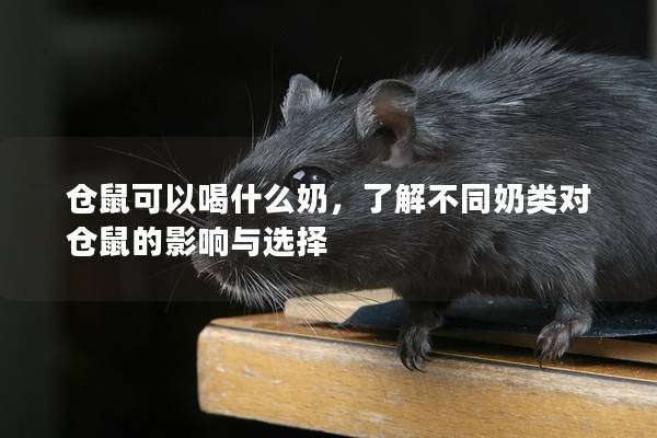 仓鼠可以喝什么奶，了解不同奶类对仓鼠的影响与选择