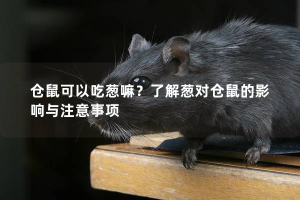 仓鼠可以吃葱嘛？了解葱对仓鼠的影响与注意事项