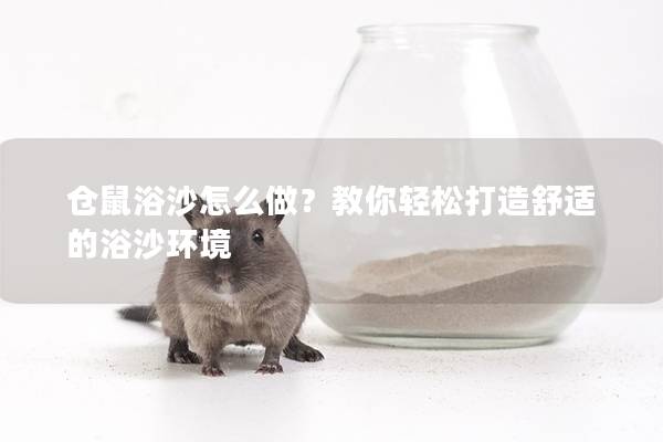 仓鼠浴沙怎么做？教你轻松打造舒适的浴沙环境