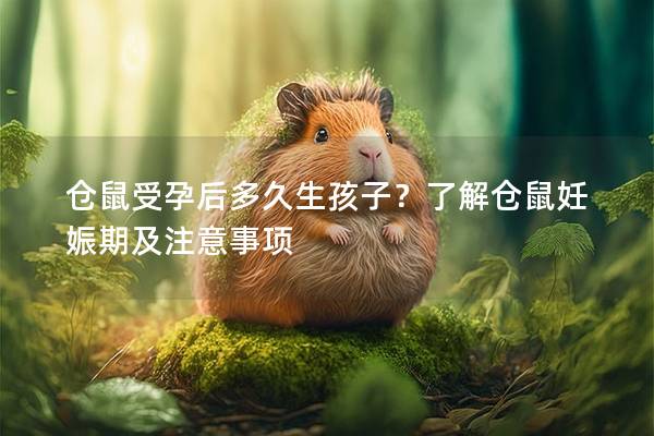 仓鼠受孕后多久生孩子？了解仓鼠妊娠期及注意事项