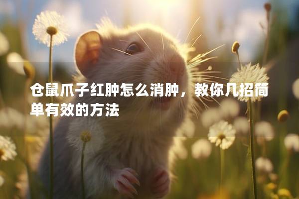 仓鼠爪子红肿怎么消肿，教你几招简单有效的方法