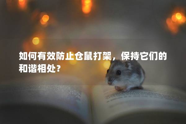 如何有效防止仓鼠打架，保持它们的和谐相处？