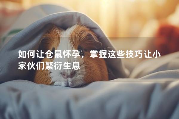 如何让仓鼠怀孕，掌握这些技巧让小家伙们繁衍生息