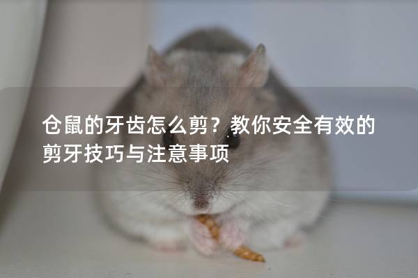 仓鼠的牙齿怎么剪？教你安全有效的剪牙技巧与注意事项