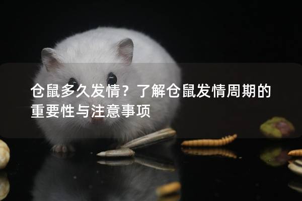 仓鼠多久发情？了解仓鼠发情周期的重要性与注意事项