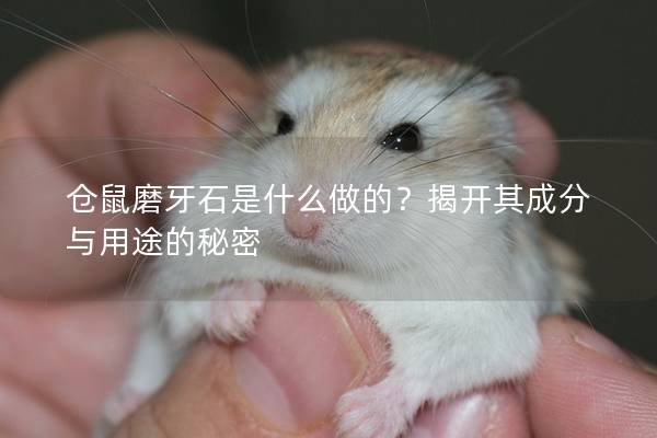 仓鼠磨牙石是什么做的？揭开其成分与用途的秘密