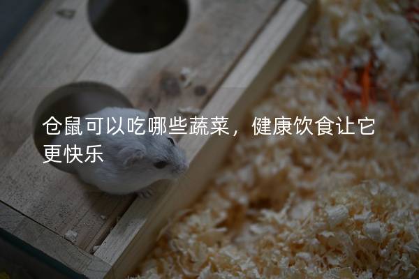 仓鼠可以吃哪些蔬菜，健康饮食让它更快乐