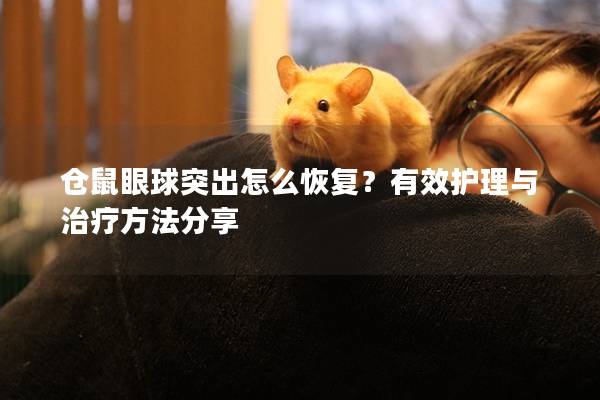 仓鼠眼球突出怎么恢复？有效护理与治疗方法分享