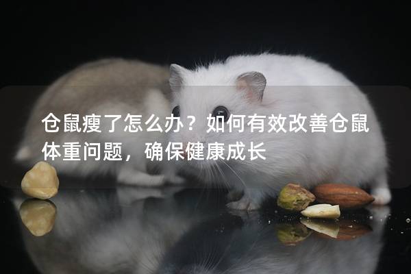 仓鼠瘦了怎么办？如何有效改善仓鼠体重问题，确保健康成长