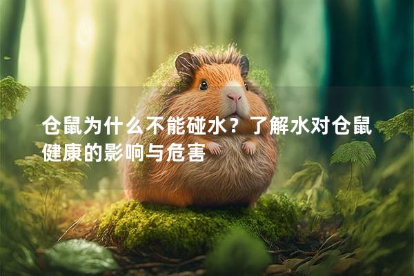 仓鼠为什么不能碰水？了解水对仓鼠健康的影响与危害