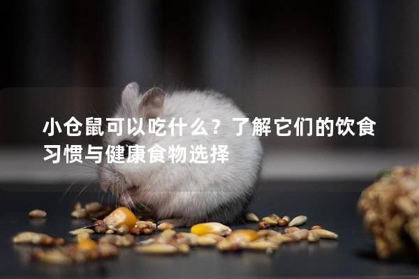 小仓鼠可以吃什么？了解它们的饮食习惯与健康食物选择