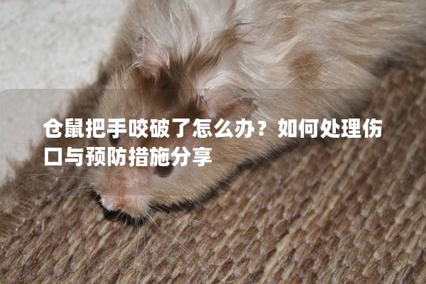 仓鼠把手咬破了怎么办？如何处理伤口与预防措施分享