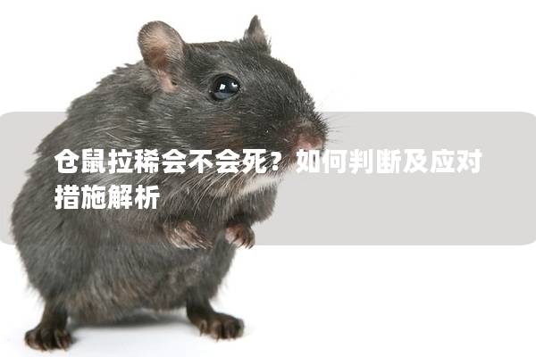 仓鼠拉稀会不会死？如何判断及应对措施解析