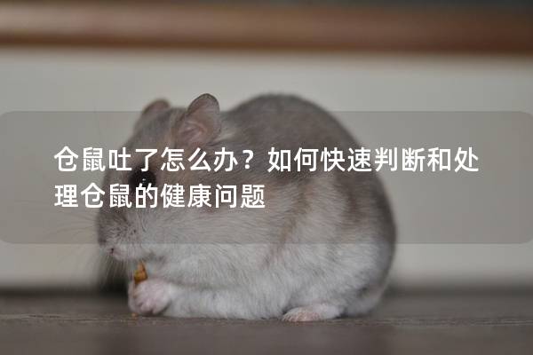 仓鼠吐了怎么办？如何快速判断和处理仓鼠的健康问题