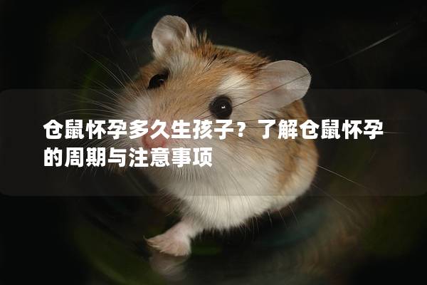 仓鼠怀孕多久生孩子？了解仓鼠怀孕的周期与注意事项