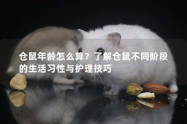 仓鼠年龄怎么算？了解仓鼠不同阶段的生活习性与护理技巧