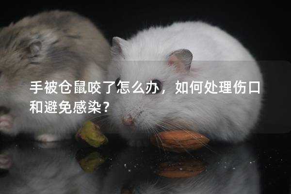 手被仓鼠咬了怎么办，如何处理伤口和避免感染？